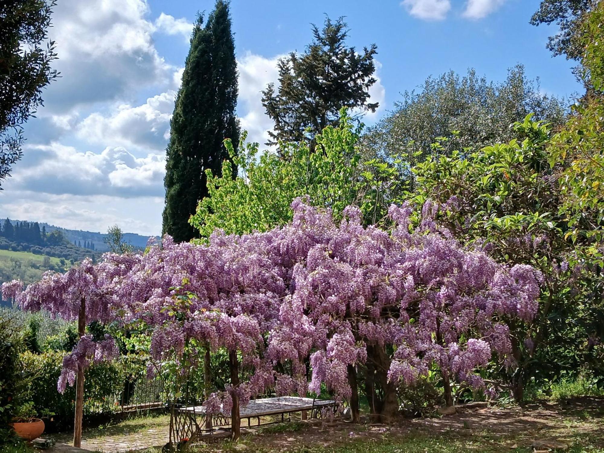 Agriturismo Villa Gorgognano Certaldo Dış mekan fotoğraf
