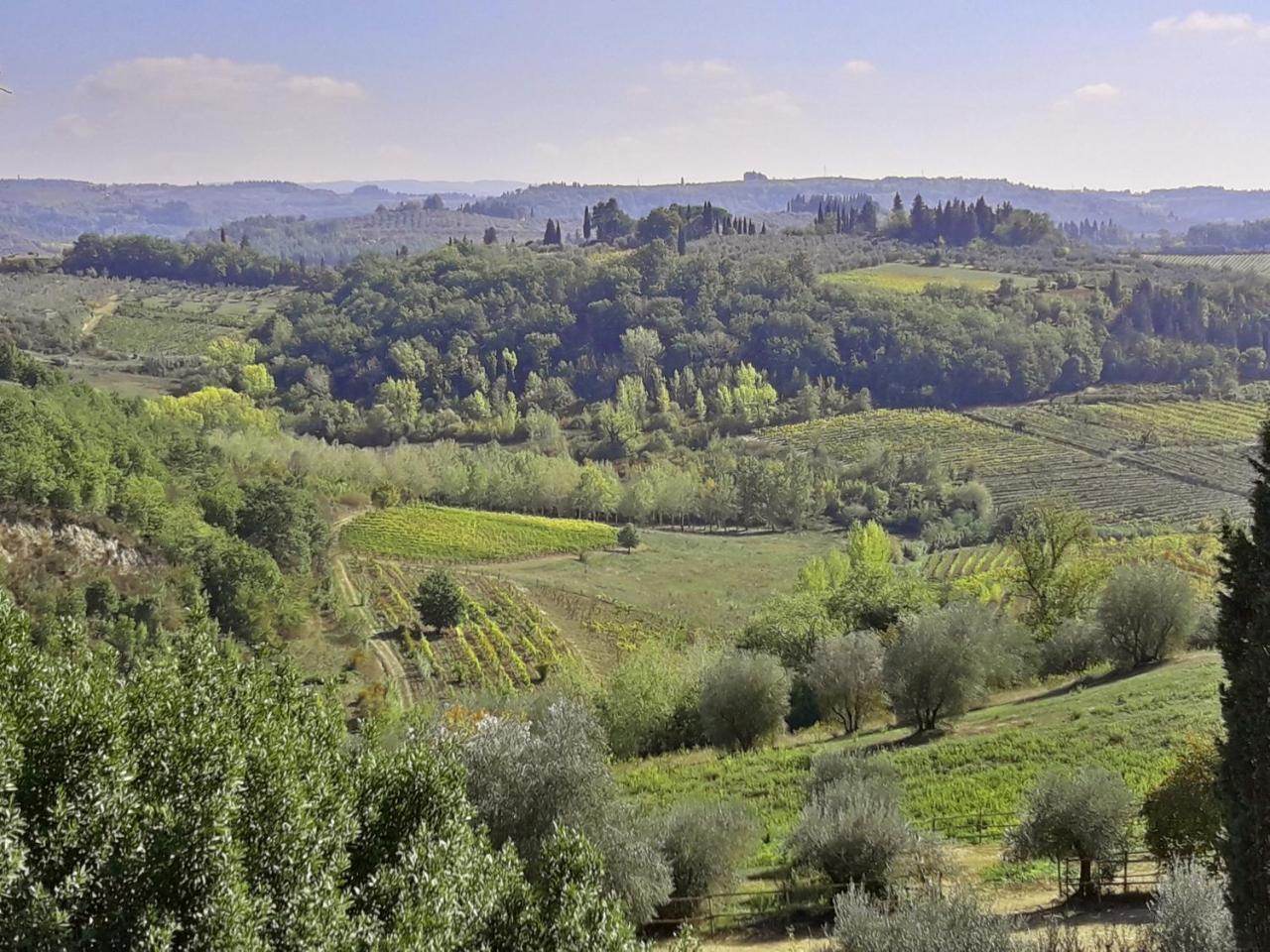 Agriturismo Villa Gorgognano Certaldo Dış mekan fotoğraf